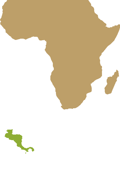 Central America & Africa